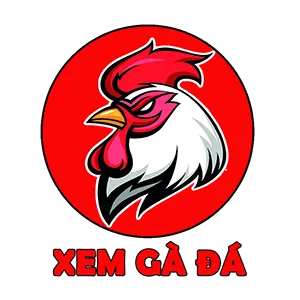 Xem Gà Đá